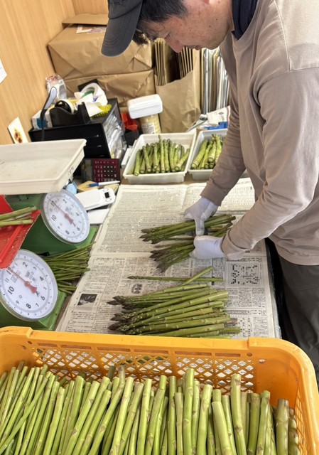 街角生中継 街角生中継